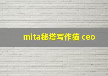 mita秘塔写作猫 ceo